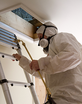 Woodworm treatment Clacton