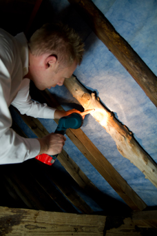 Woodworm treatment Clacton