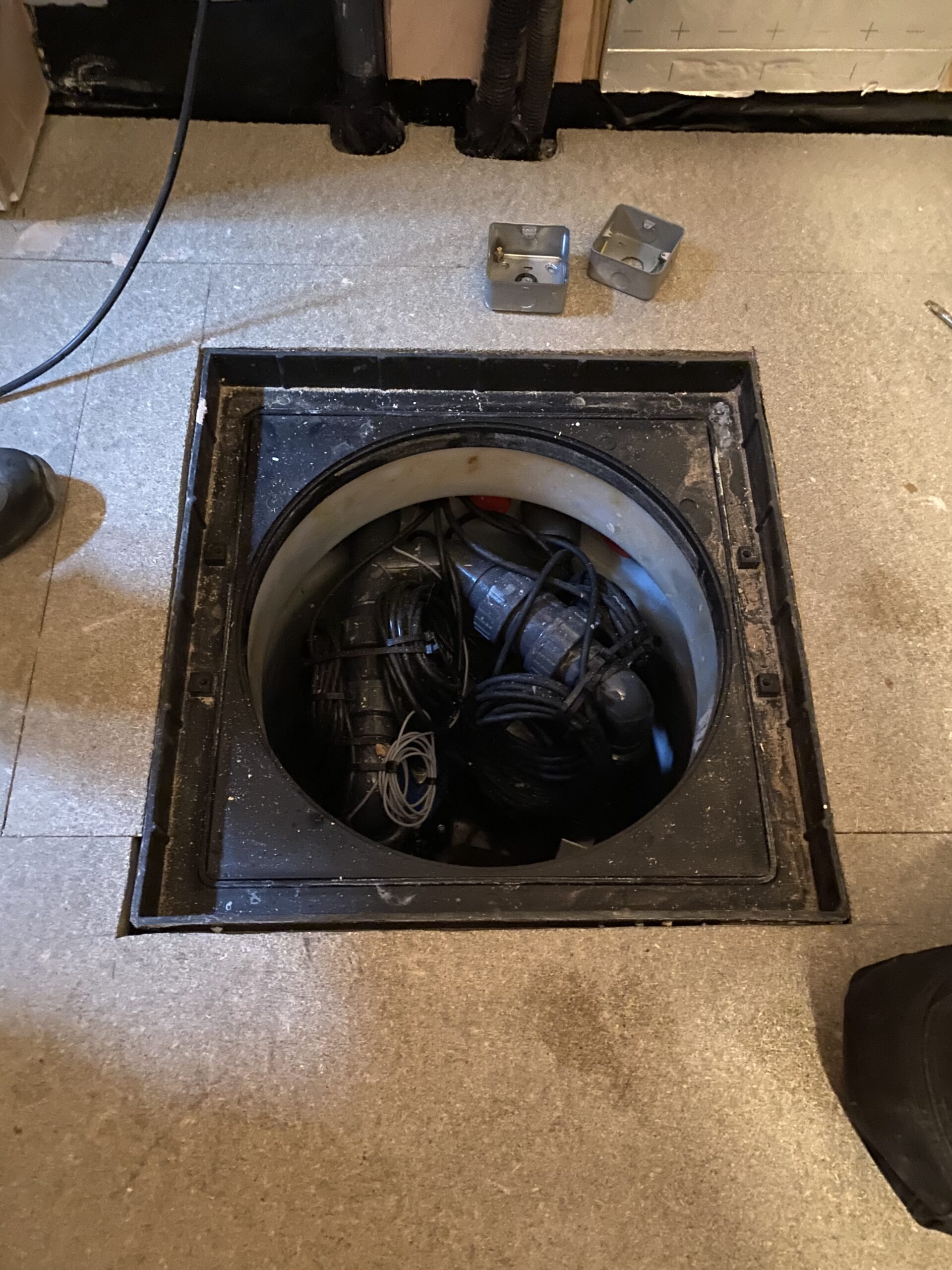 Cellar conversion Chelmsford