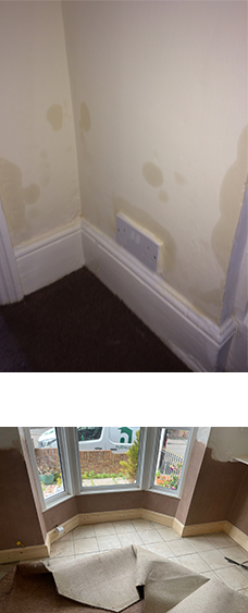 Damp proofing Colchester